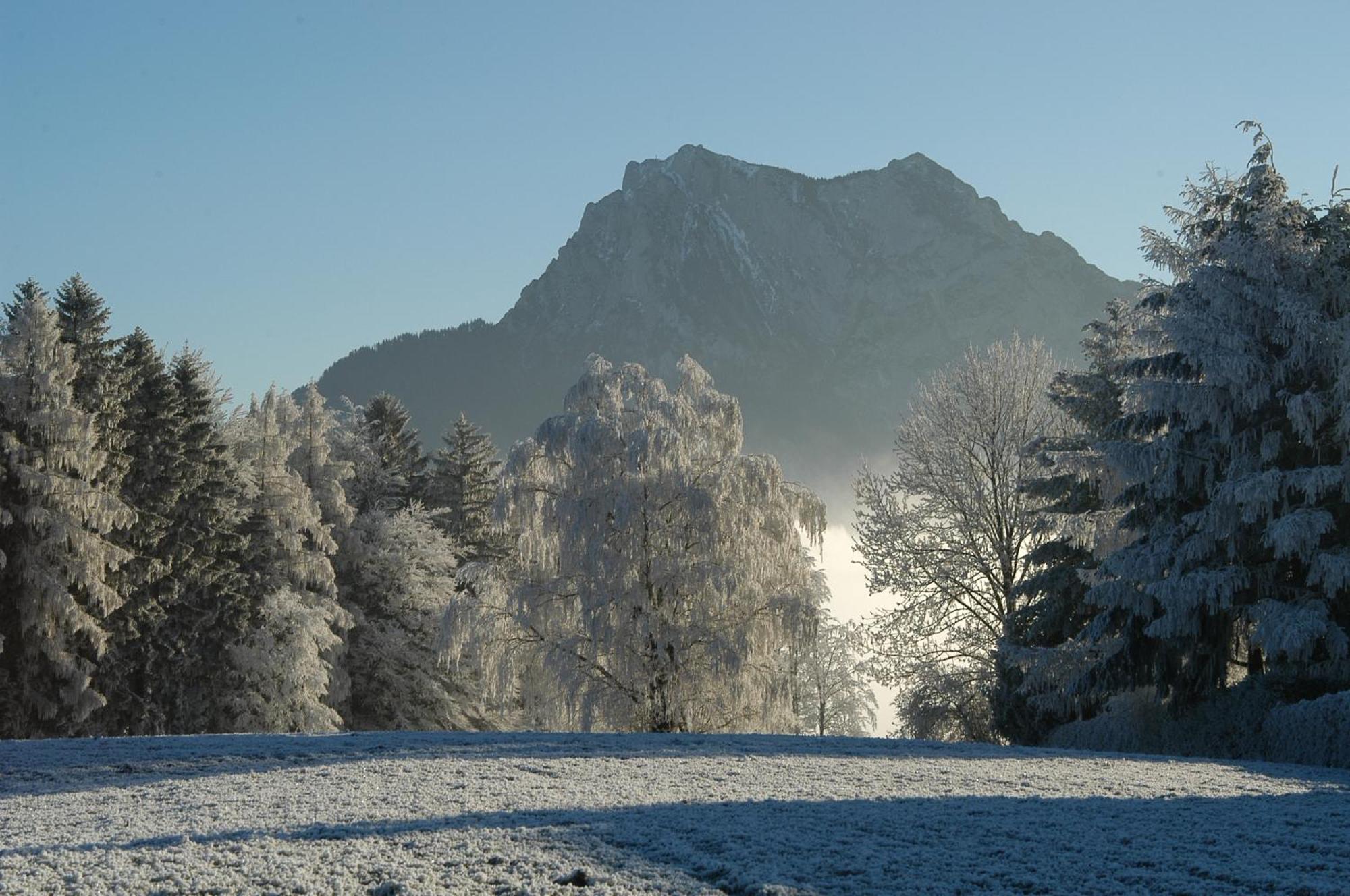 Hotel Altmuensterhof Luaran gambar
