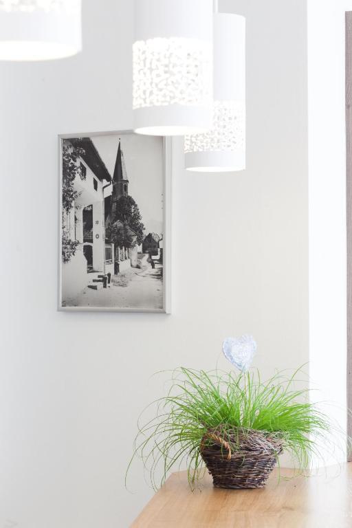 Hotel Altmuensterhof Luaran gambar